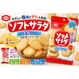 亀田製菓 亀田 こつぶっこ 20g×80袋 : ビーズストア - 通販 - Yahoo