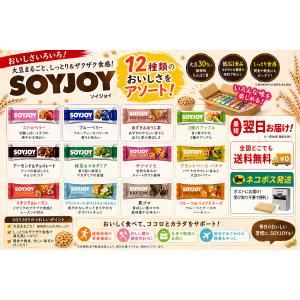 大塚製薬 ソイジョイ アソート 12種類 ネコ...の詳細画像1
