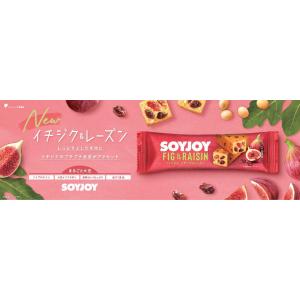 大塚製薬 ソイジョイ イチジク&レーズン 48本の詳細画像1