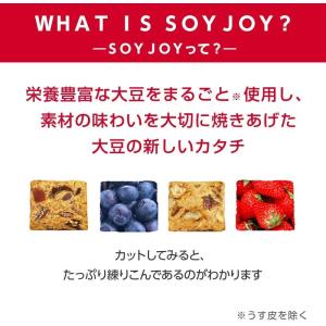 大塚製薬 ソイジョイ イチジク&レーズン 48本の詳細画像2