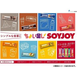大塚製薬 ソイジョイ イチジク&レーズン 48本の詳細画像5