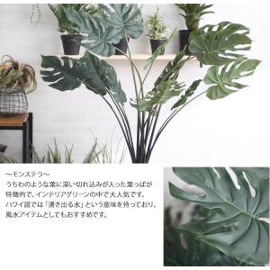 観葉植物 フェイクグリーン インテリアグリーン...の詳細画像2