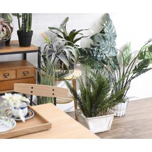 観葉植物 フェイクグリーン インテリアグリーン...の詳細画像3