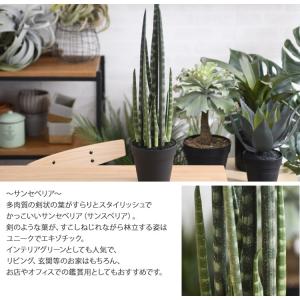 観葉植物 フェイクグリーン インテリアグリーン...の詳細画像2