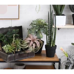 観葉植物 フェイクグリーン インテリアグリーン...の詳細画像3