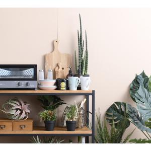 観葉植物 フェイクグリーン インテリアグリーン...の詳細画像4
