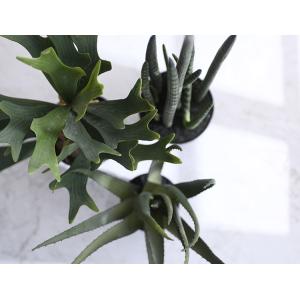 観葉植物 フェイクグリーン インテリアグリーン...の詳細画像4