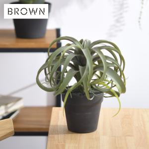 観葉植物 フェイクグリーン インテリアグリーン 卓上 ミニ エアプランツ Brown. ブラウン キセログラフィカ ポット 991540
