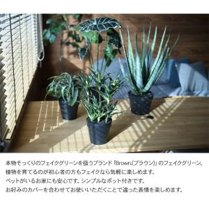 観葉植物 フェイクグリーン インテリアグリーン...の詳細画像1