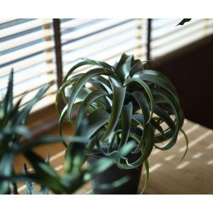 観葉植物 フェイクグリーン インテリアグリーン...の詳細画像4