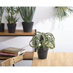 観葉植物 フェイクグリーン インテリアグリーン...の詳細画像5