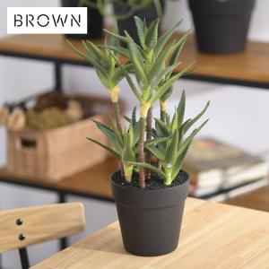 観葉植物 フェイクグリーン インテリアグリーン 卓上 ミニ Brown. ブラウン アロエキダチ ポット  991060 爆買