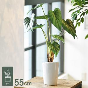 観葉植物 フェイクグリーン インテリアグリーン ...の商品画像