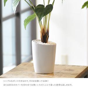 観葉植物 フェイクグリーン インテリアグリーン...の詳細画像2