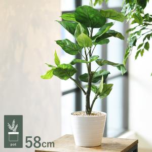 観葉植物 フェイクグリーン インテリアグリーン ...の商品画像