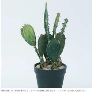 観葉植物 フェイクグリーン インテリアグリーン...の詳細画像3
