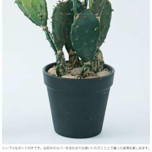 観葉植物 フェイクグリーン インテリアグリーン...の詳細画像4