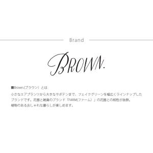 観葉植物 フェイクグリーン インテリアグリーン...の詳細画像5