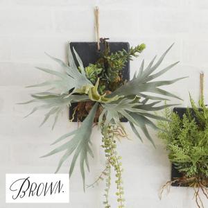 観葉植物 造花 フェイクグリーン コウモリラン Brown. ブラウン ビカクシダ ウォールハンギング スレート 20 _PP02 991770