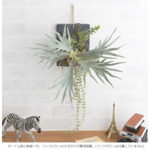 観葉植物 造花 フェイクグリーン コウモリラン...の詳細画像4