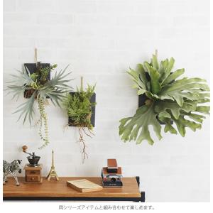 観葉植物 造花 フェイクグリーン コウモリラン...の詳細画像5