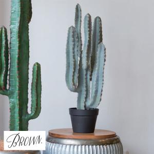 人工観葉植物柱サボテン 弁慶柱 : 京都フラワーサービス - 通販