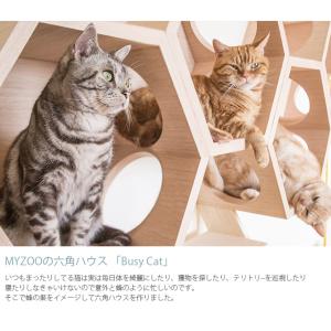 猫 キャットステップ キャットウォーク 六角 ...の詳細画像2