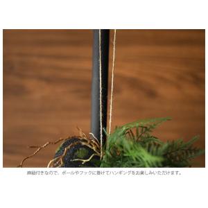 観葉植物 造花 フェイクグリーン シダ ツデー...の詳細画像3