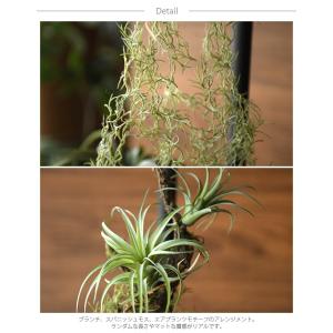 観葉植物 造花 フェイクグリーン インテリアグ...の詳細画像2