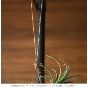 観葉植物 造花 フェイクグリーン インテリアグ...の詳細画像4