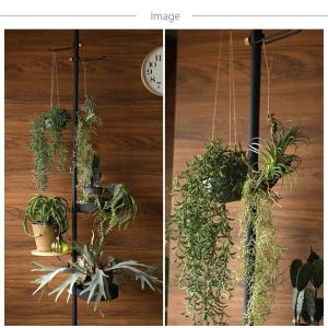 観葉植物 造花 フェイクグリーン インテリアグ...の詳細画像5