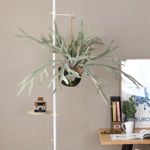 フェイクグリーン おしゃれ ハンギング シダ 人工観葉植物 Brown. ブラウン フェイクグリーン ビカクシダ ハンギングボール 60 991611