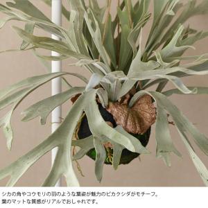 フェイクグリーン おしゃれ ハンギング シダ ...の詳細画像2
