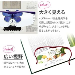 ハズキルーペ コンパクト 正規品 (クリアレン...の詳細画像2