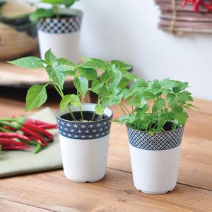 ガーデニング 栽培キット 室内 食育 育てる 家庭菜園 ハーブ 野菜 薬味 インテリア 栽培キット 染付小紋薬味小鉢 ラッピング対応 Mbm 0602 Rooming 通販 Yahoo ショッピング