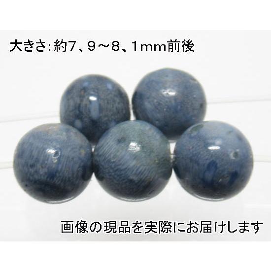 (値下げ価格)NO.4 スポンジコーラル青 8mm(5粒入り)＜お守り・慈愛＞ 天然の色合い 仕分け...