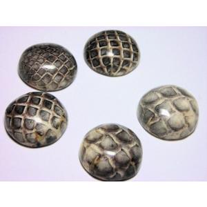 半丸 ヘビ皮 封入ビーズ 17〜18mm (2ヶ)