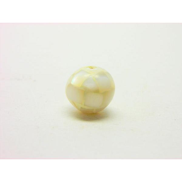 モザイクシェル　１０ｍｍ　ホワイト