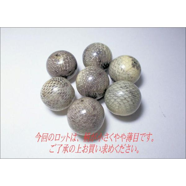 ヘビ皮封入ビーズ　22mm