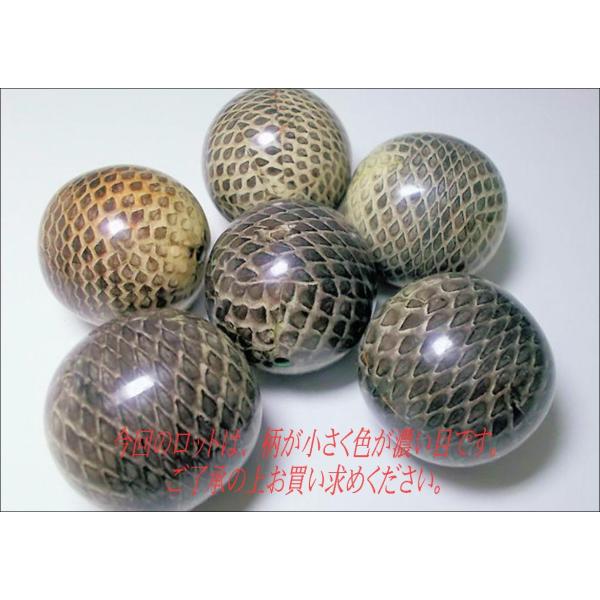 ヘビ皮封入ビーズ　28mm