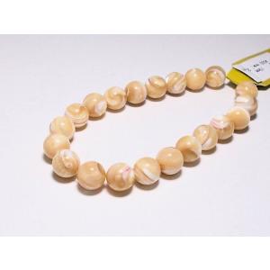 タカセ貝　ラウンド10ｍｍ ベージュ 20cm
