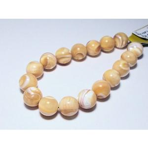 タカセ貝　ラウンド12ｍｍ ベージュ 20cm