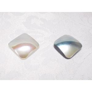 貼付け用 シェルパーツ スクエア (1ケ) 16x16ＭＭ