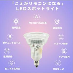 ダクトレール スポットライト 照明 ライト レ...の詳細画像3