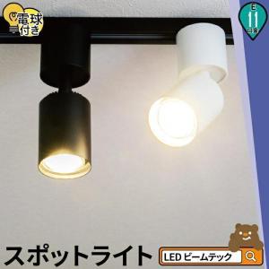 リモコン別売り ダクトレール スポットライト 照明 ライト レールライト E11 LED電球付き 50W 相当 38度 調光 調色 E11CV-LDR5W2C ビームテック｜beamtec