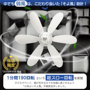 シーリングファンライト リモコン 天井 ファン...の詳細画像4