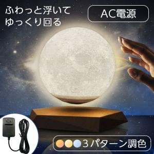 PROPAGANDA（プロパガンダ） フロアライト フロアランプ ライト ランプ