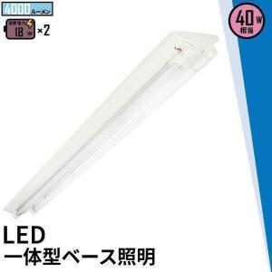 IRIS OHYAMA（アイリスオーヤマ） コンパクト蛍光灯LED代替器具55形4灯