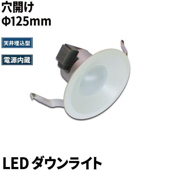 【BONUS+5％】LEDダウンライト φ125 電球色 昼白色 LD125P10 ビームテック