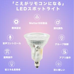 Matter LED E11 スポットライト ...の詳細画像2